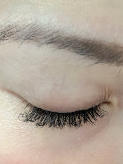 Pre-Glued Cluster Lashes Style - Timeless Elegance