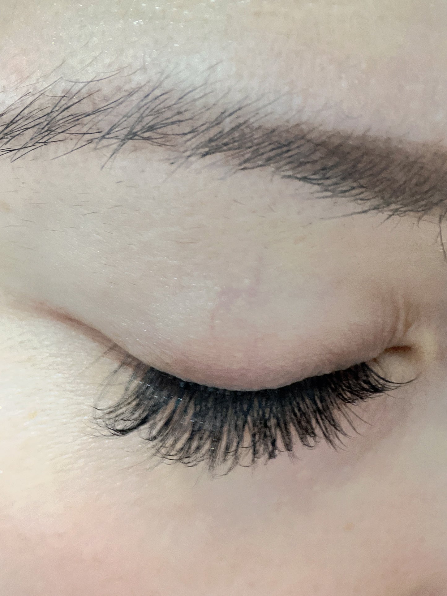 Pre-Glued Cluster Lashes Style - Sophisticated
