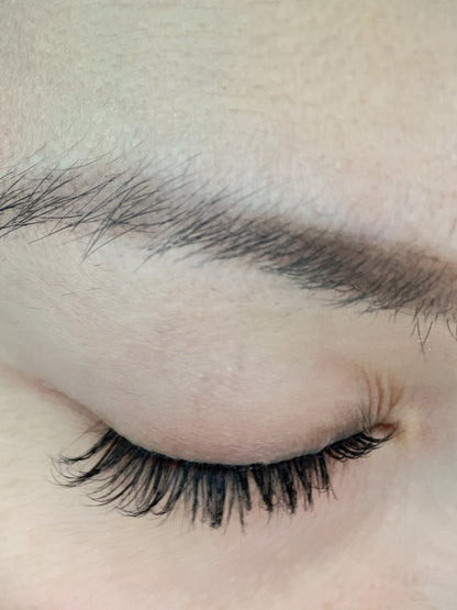 Pre-Glued Cluster Lashes Style - Bare Beauty