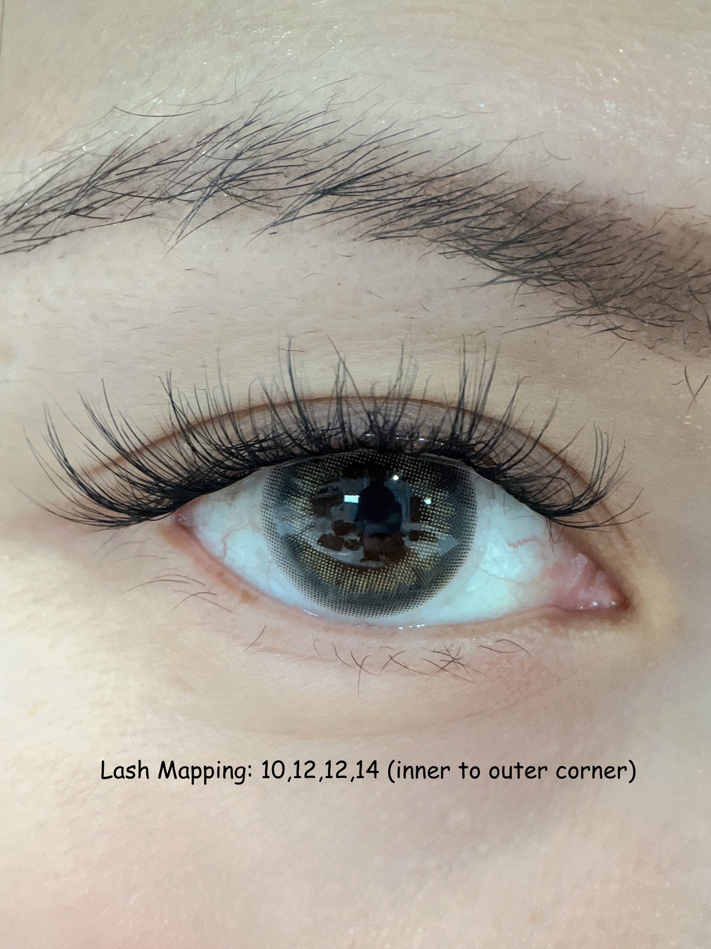 Pre-Glued Cluster Lashes Style  - Adore Me