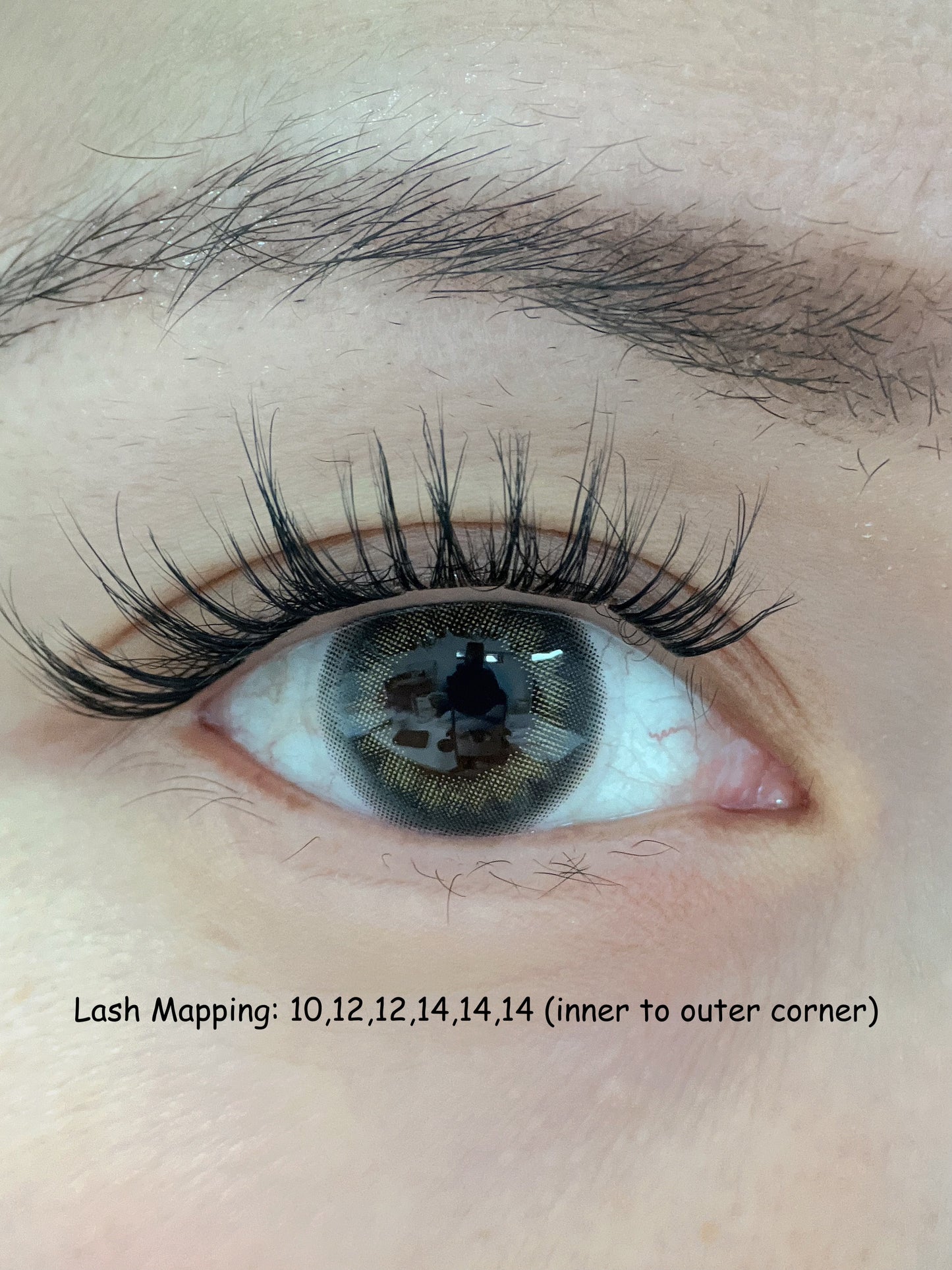 Pre-Glued Cluster Lashes Style - Bare Beauty