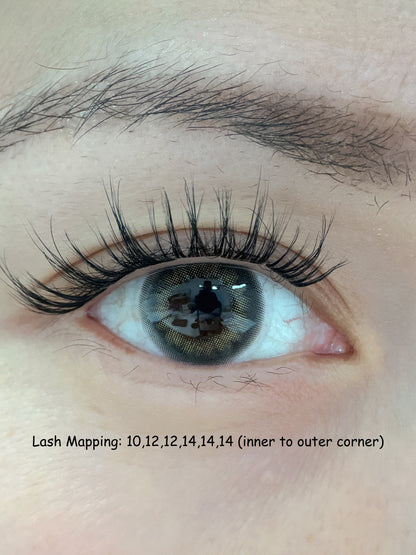 Pre-Glued Cluster Lashes Style - Bare Beauty