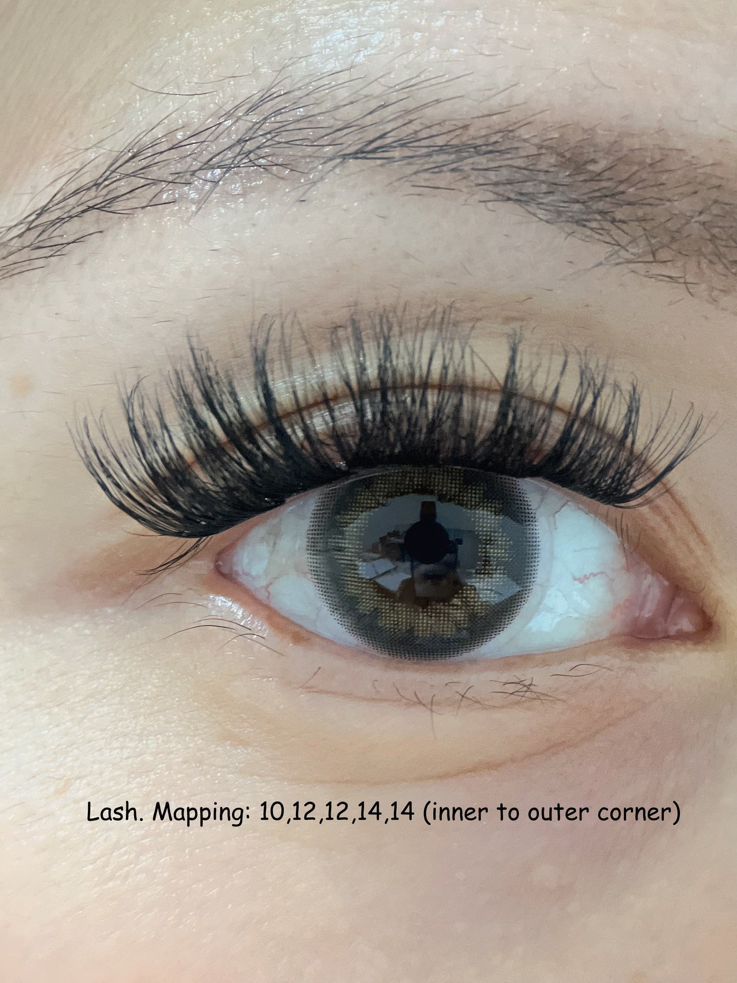 Pre-Glued Cluster Lashes Style - Seduction