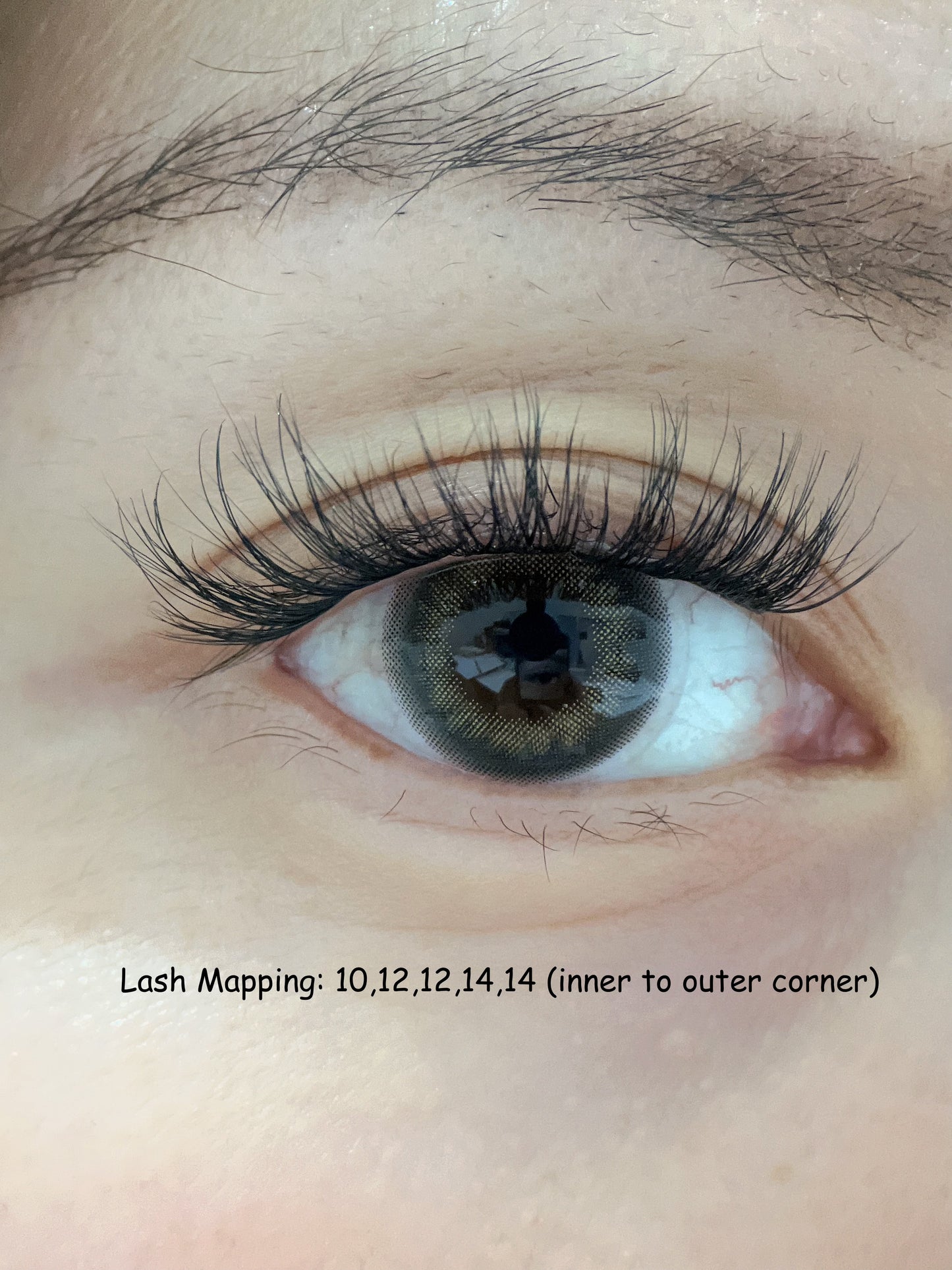 Pre-Glued Cluster Lashes Style - Sophisticated